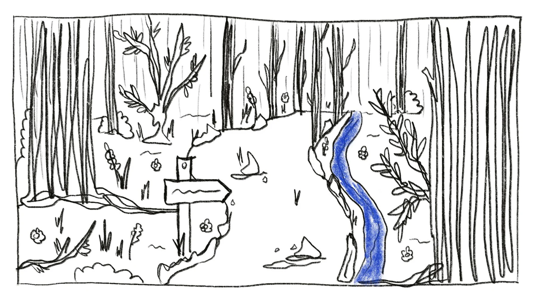 Visuel Histoire du projet Célia